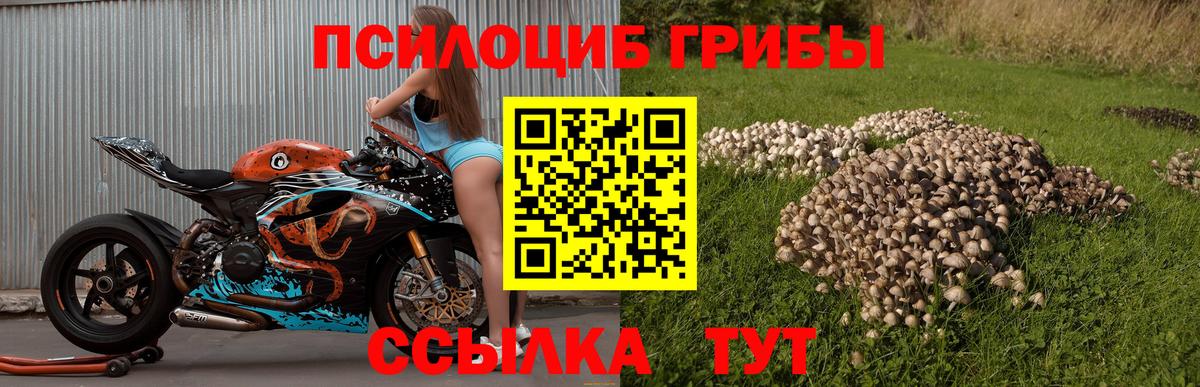 Галлюциногенные грибы Magic Shrooms Омск